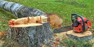  , MN Tree Removal Pros